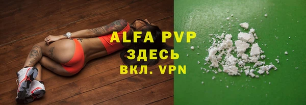 кокс Белокуриха
