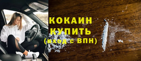 мяу мяу мука Богданович