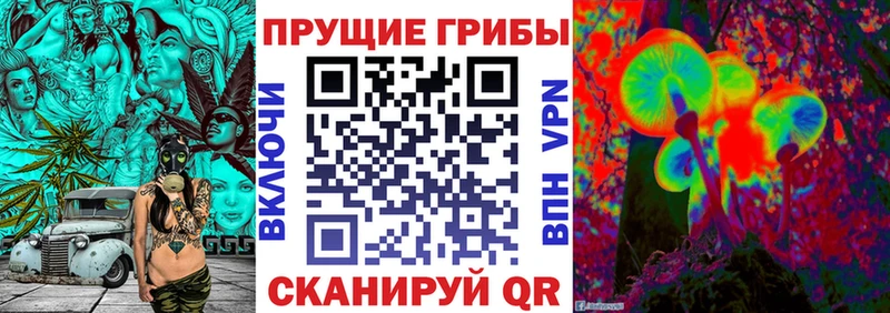 Псилоцибиновые грибы прущие грибы  Няндома 